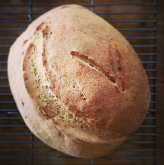 Yay- A real Snacktivist Foods blog has arrived!