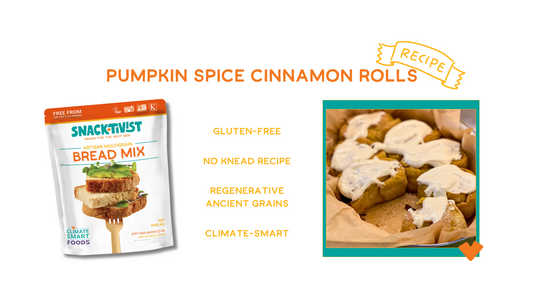 Pumpkin Spice Cinnamon Rolls Recipe No Knead Gluten-Free Snacktivist
