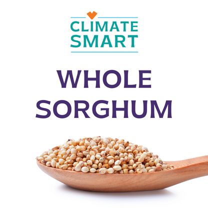 Whole White Sorghum